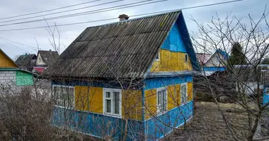 House in Luhavaslabadski sielski Saviet, Belarus