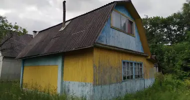 Dom w Puchavicki sielski Saviet, Białoruś