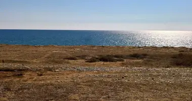 Grundstück in Mazotos, Cyprus