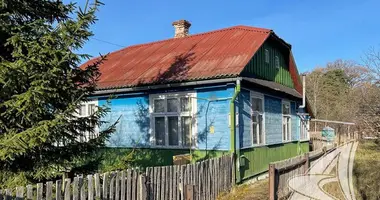 House in Kamarouka, Belarus