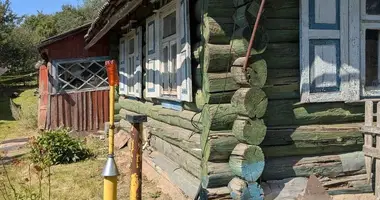 Haus in Novy Dvor, Belarus