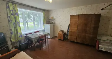 Apartamento 1 habitación en Borisov, Bielorrusia