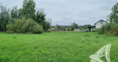 House in Znamienski sielski Saviet, Belarus