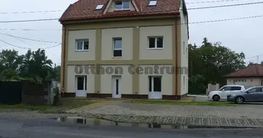 Commercial property 369 m² in Dunabogdany, Hungary