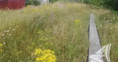 Plot of land in Zabinkauski sielski Saviet, Belarus