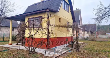 House in Matykalski sielski Saviet, Belarus