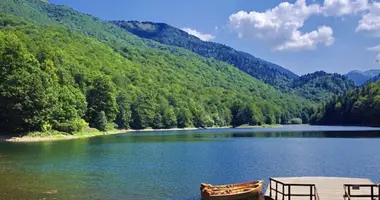 Apartment in Kolasin, Montenegro