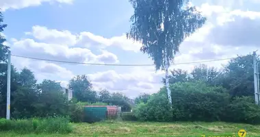 Дом в Заболотский сельский Совет, Беларусь