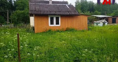 House in Miasocki sielski Saviet, Belarus