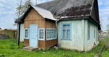 Dom w Wilejka, Białoruś
