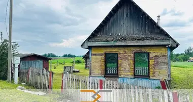 Dom w Pastavicy, Białoruś