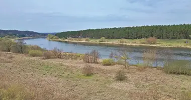 Działka w Wejstaryszki, Litwa