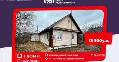 Dom w Lienki, Białoruś