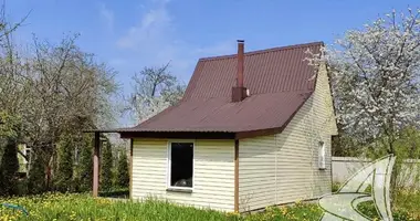 Haus in Kamianica Zyravieckaja, Weißrussland