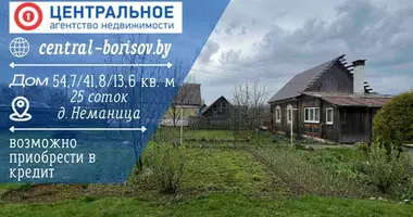House in Niemanica, Belarus
