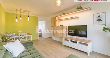 Wohnung in Bezirk Budweis, Tschechien