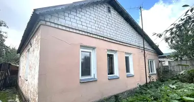 House in Krasnaye, Belarus