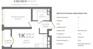 Apartment in Nizhny Novgorod, Russia