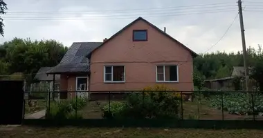 House in Usohskaya Buda, Belarus