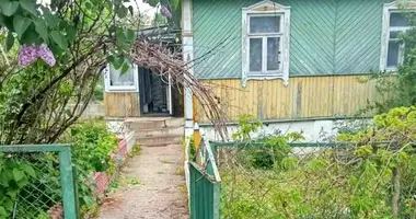 House in Novy Dvor, Belarus
