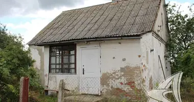 House in Novyja Lyscycy, Belarus