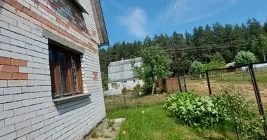 House in Saskouski sielski Saviet, Belarus