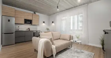 1 room apartment in Vilnius, Lithuania