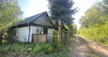 2 room house in Ujszilvas, Hungary