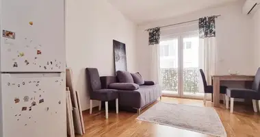Wohnung 1 Schlafzimmer in Budva, Montenegro
