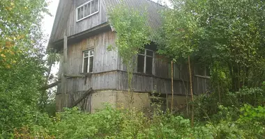 Haus in Rajon Maladsetschna, Weißrussland