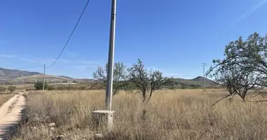 Plot of land in Abanilla, Spain