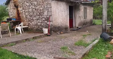 Дом 1 спальня в Даниловград, Черногория
