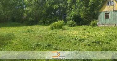 Дом в Дружный, Беларусь