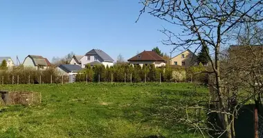 House in Dziamidavicki sielski Saviet, Belarus