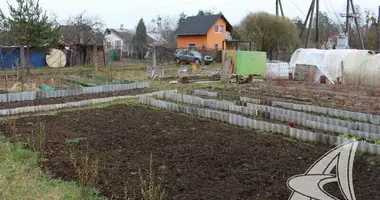 Plot of land in Masievicy, Belarus