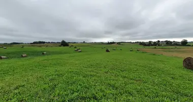 Terrain dans Alytus, Lituanie