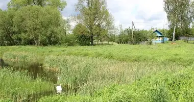 Дом в Дещенский сельский Совет, Беларусь