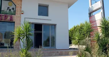 Propriété commerciale 100 m² dans Nea Fokea, Grèce