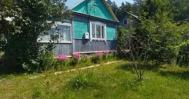 House in Zdanovicki sielski Saviet, Belarus