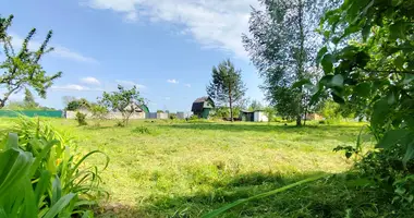 Участок земли в Жодинский сельский Совет, Беларусь