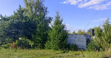 House in Dabryniouski sielski Saviet, Belarus