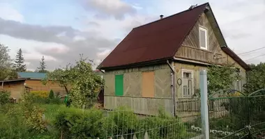 Casa 1 habitación en Pudostskoe selskoe poselenie, Rusia