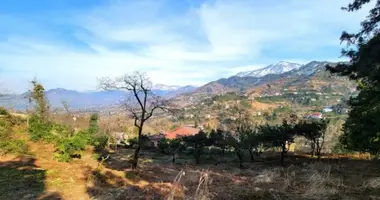 Участок земли в Кобулети, Грузия