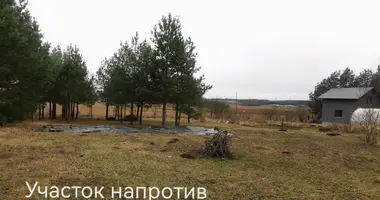 Terrain dans Kalodziscanski siel ski Saviet, Biélorussie