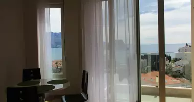 Wohnung 1 Schlafzimmer in Montenegro