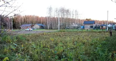 Maison dans Putcynski siel ski Saviet, Biélorussie