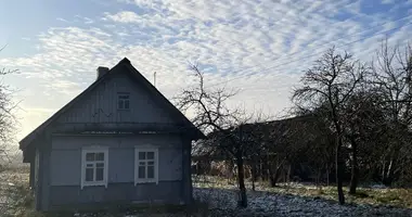 House in Iljanski sielski Saviet, Belarus