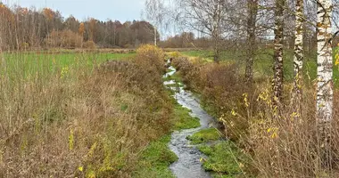 Grundstück in Keggum, Lettland