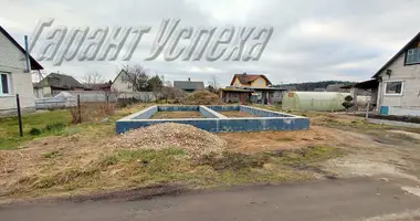 House in cerninski sielski Saviet, Belarus