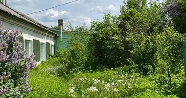 Haus in Visniouka, Weißrussland